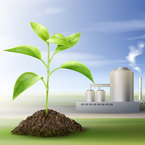 bioenergie