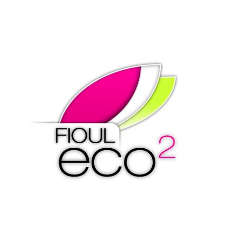Logo Fioul ECO2