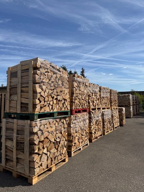 Bûches de bois sec empilées sur palettes