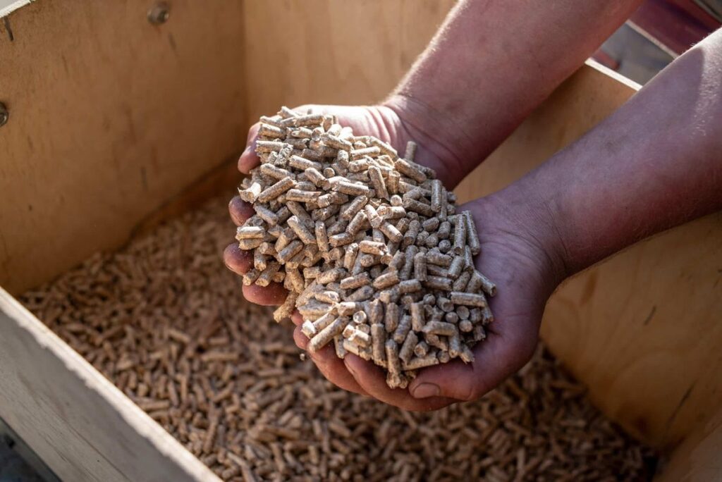 Granulés de bois dans les mains